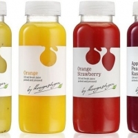  - etiquetas tlaquepaque,