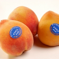  - etiquetas para productos congelados, guadalajara